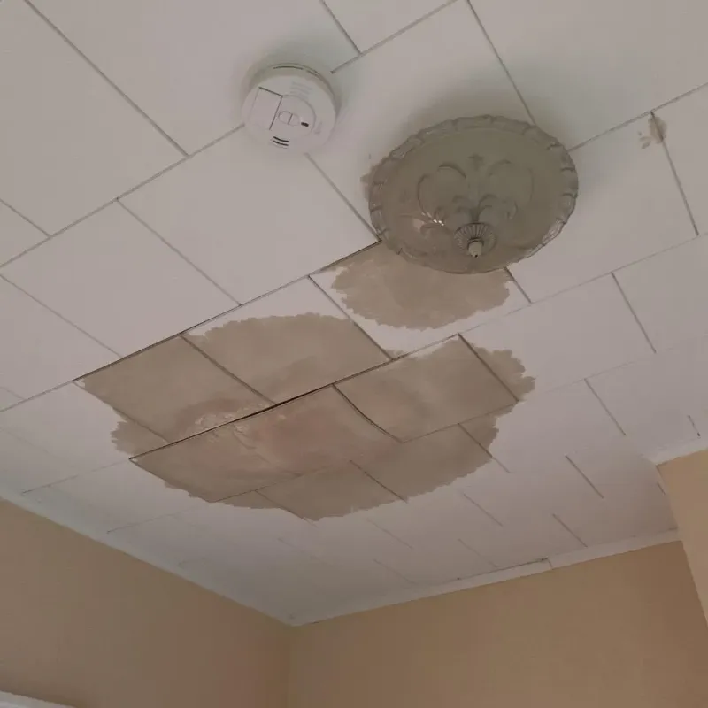 Ceiling Water Damage Repair in Meigs, GA