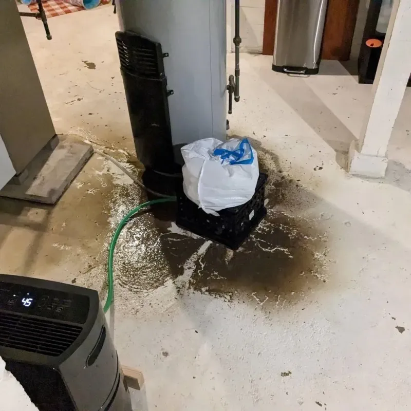 Sewage Backup Cleanup Service in Meigs, GA